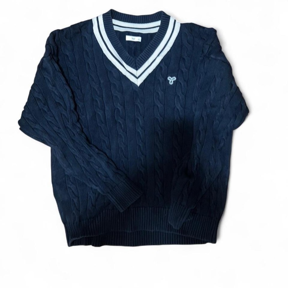 Navy blue TNA v neck preppy sweater